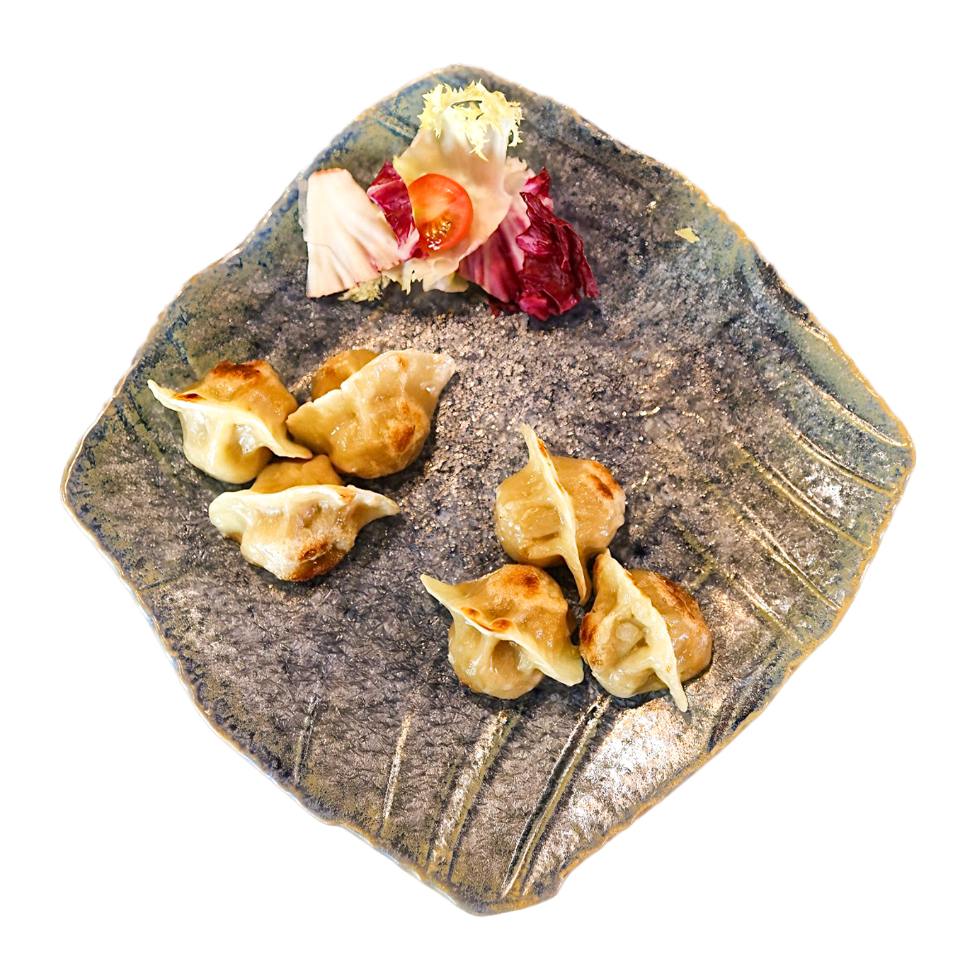 GYOZAS A LA PLANCHA MIXTAS CASERAS 6P